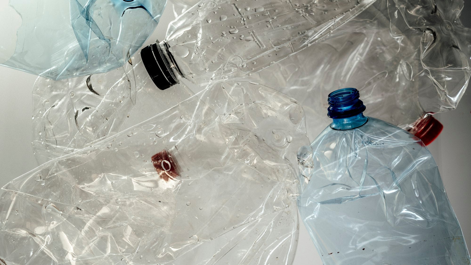 Phthalates: Why No Nines™ Leaves Them Out