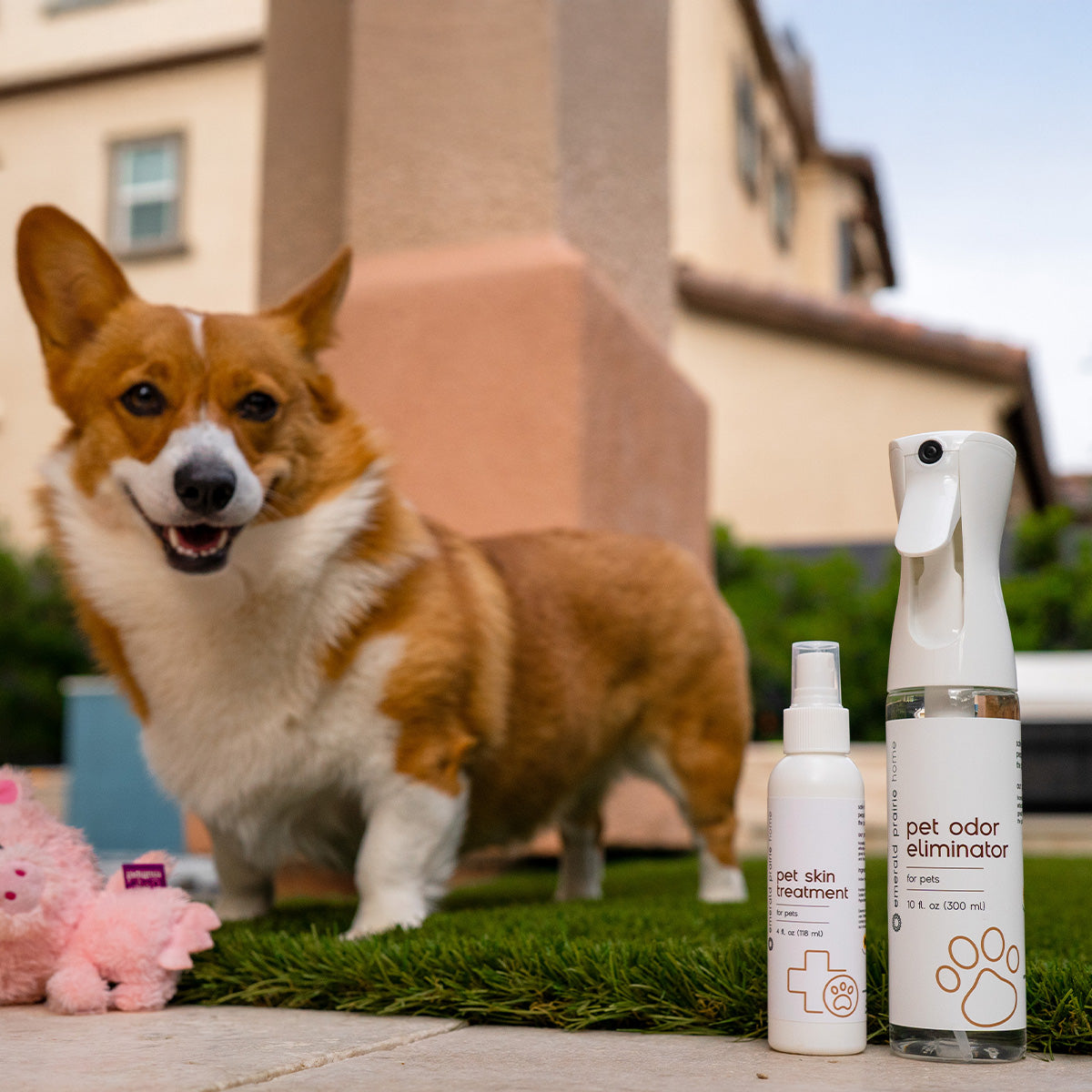 Pet Bundle - Emerald Prairie Health, LLC, DBA Emerald Prairie Home